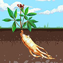 赶山夺笋折相思