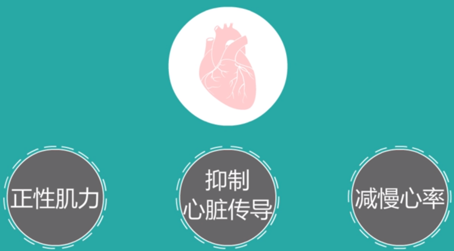 地高辛什么时间段吃最佳