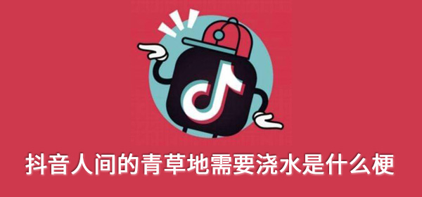 抖音人间的青草地需要浇水是什么梗