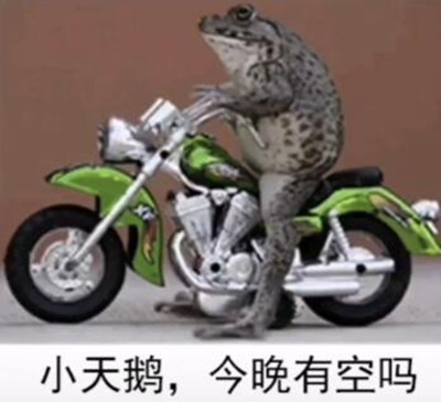 抖音小天鹅今晚有空吗癞蛤蟆骑摩托图片