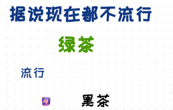 抖音黑茶清茶菊花茶是什么梗