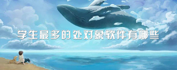 学生最多的处对象软件有哪些