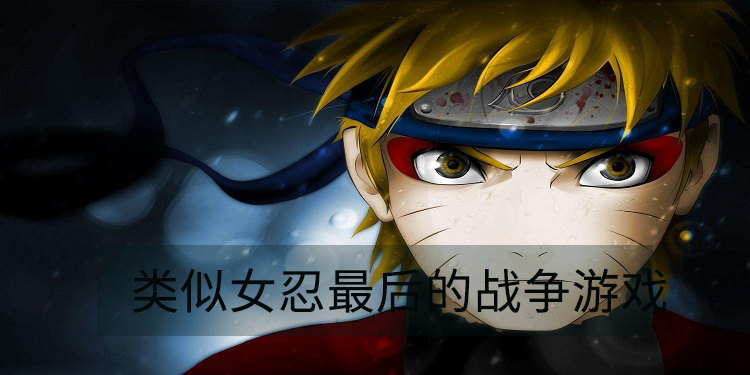 类似女忍最后的战争游戏