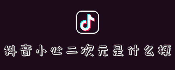 抖音小心二次元是什么梗 抖音小心二次元是什么梗