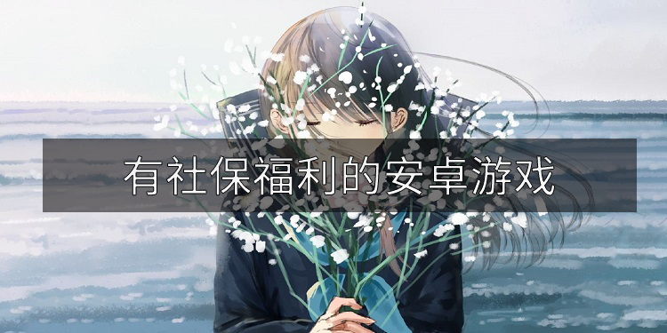 有社保福利的安卓游戏