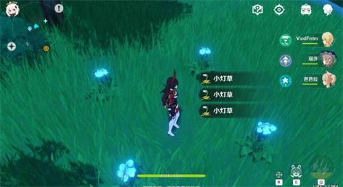 《原神》小灯草地图位置 小灯草在哪寻找