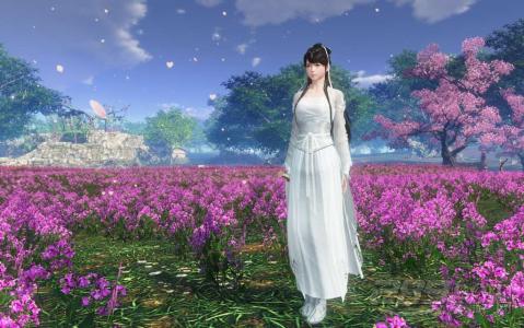 《天涯明月刀手游》副本攻略大全 副本打法技巧