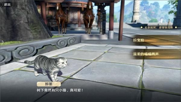 《天涯明月刀手游》猫之友任务在哪里