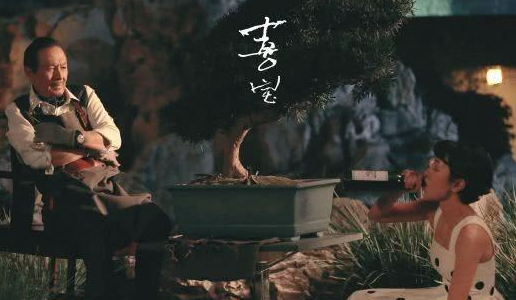 电影《喜宝》在哪里能免费看