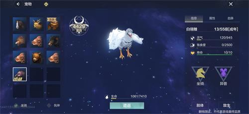 《妄想山海》白翎雕在哪里抓 白翎雕抓取技巧及位置一览