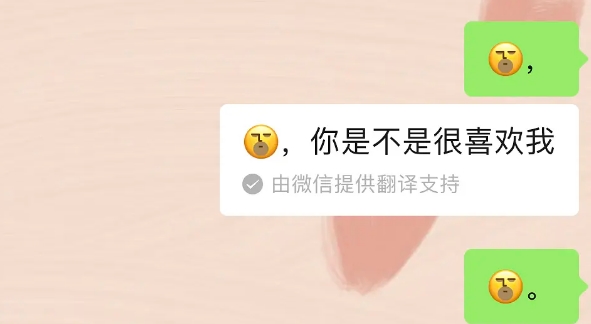 微信表情翻译你是不是很喜欢我怎么弄