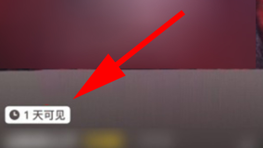 抖音视频一天可见怎么取消