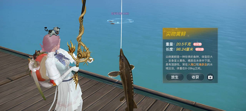 《天谕手游》鲟鱼在哪钓 鲟鱼位置点及出现时间介绍