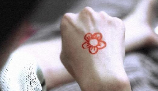 能看《一朵小红花》的软件有哪些