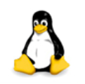 Linux5.10.9修复cpu占用高版