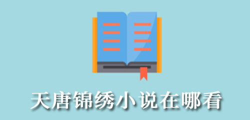 天唐锦绣小说在哪看