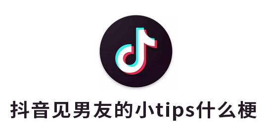 抖音见男友的小tips是什么梗