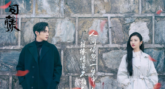 司藤在线观看app