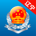 辽宁省电子税务局