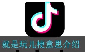 抖音就是玩儿是什么梗