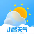 小智天气预报