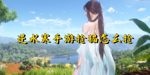 逆水寒手游抢猫怎么抢