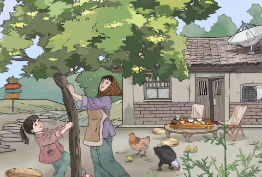 文字玩出花桂花雨怎么过