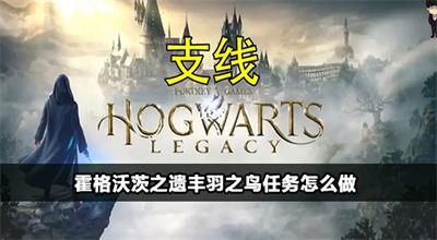 霍格沃茨之遗丰羽之鸟任务怎么做