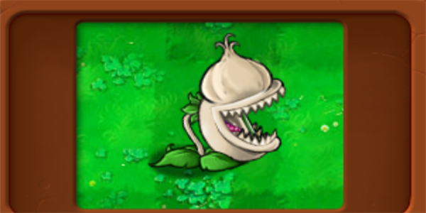 植物大战僵尸杂交版大蒜花有什么用