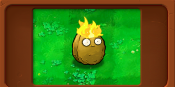 植物大战僵尸杂交版火炬坚果怎么样