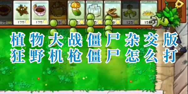 植物大战僵尸杂交版狂野机枪僵尸怎么打