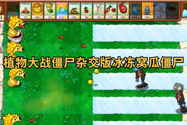 植物大战僵尸杂交版冰冻窝瓜僵尸介绍