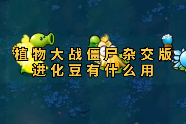 植物大战僵尸杂交版进化豆有什么用