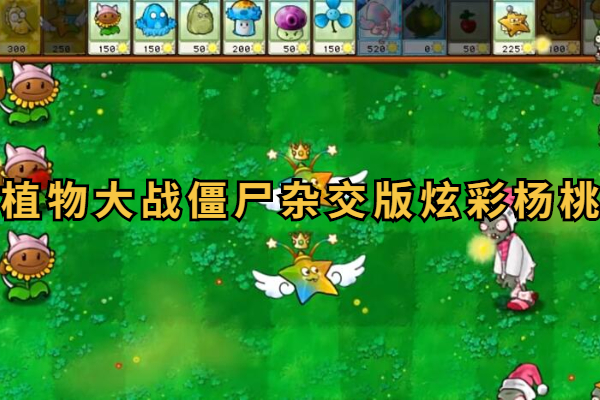 植物大战僵尸杂交版炫彩杨桃有什么用