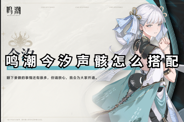鸣潮今汐声骸怎么搭配
