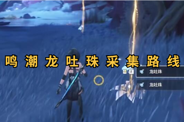 鸣潮龙吐珠采集路线