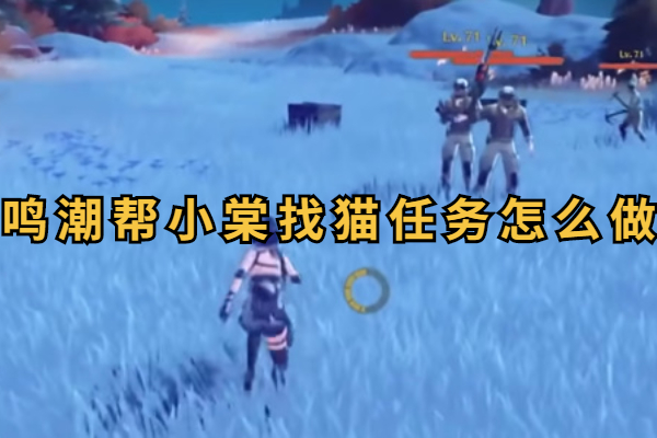 鸣潮帮小棠找猫任务怎么做
