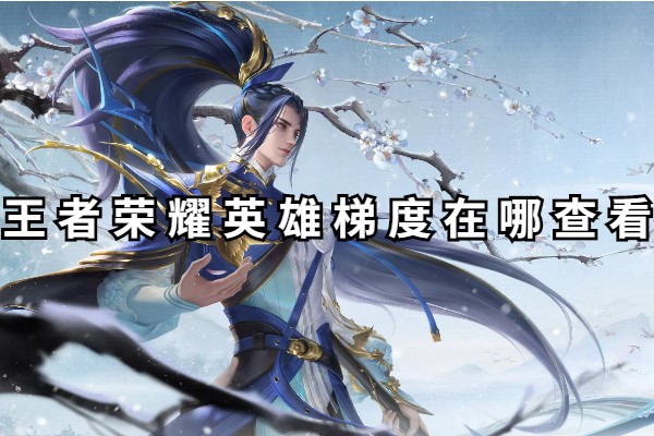 王者荣耀英雄梯度在哪查看