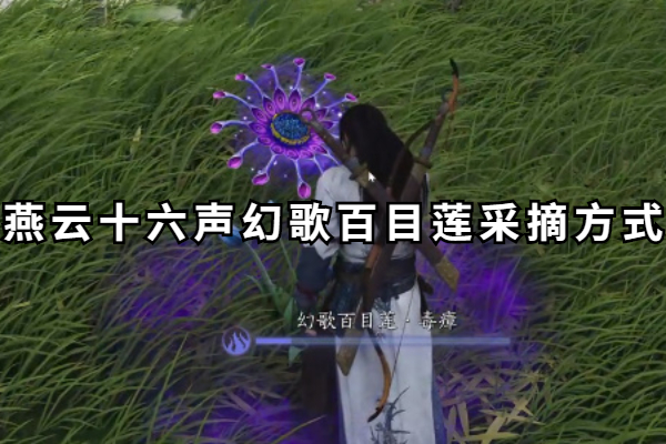燕云十六声幻歌百目莲采摘方式