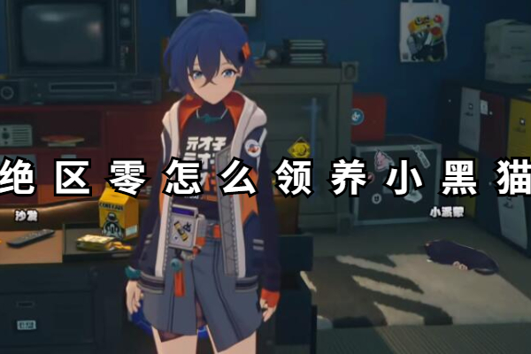 绝区零怎么领养小黑猫