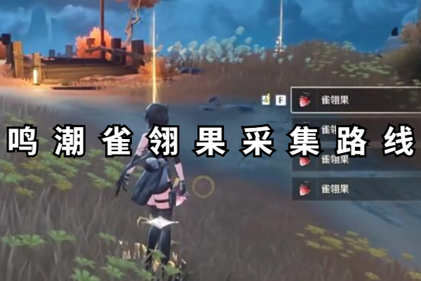 鸣潮雀翎果采集路线