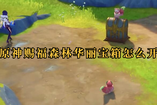 原神赐福森林华丽宝箱怎么开