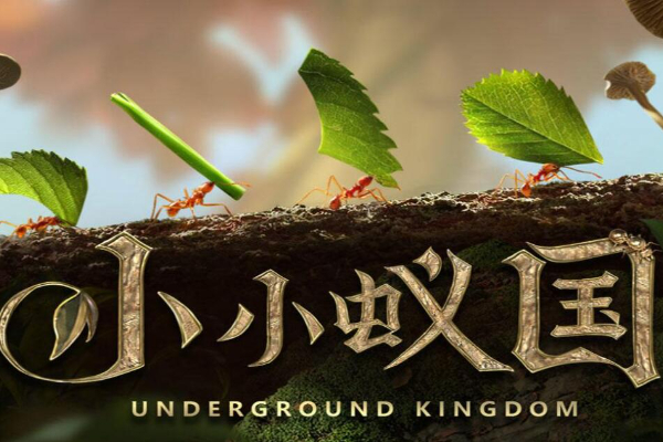 小小蚁国兑换码2024最新