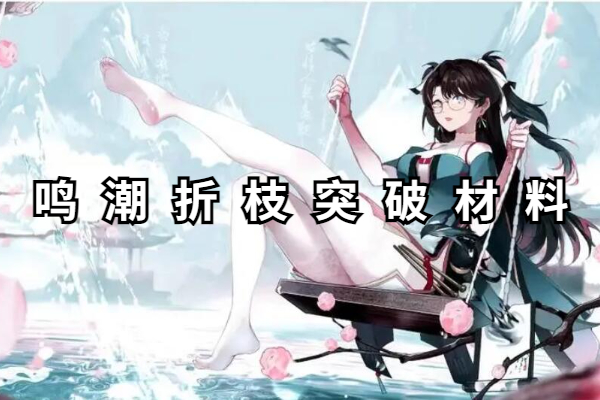 鸣潮折枝突破材料是什么