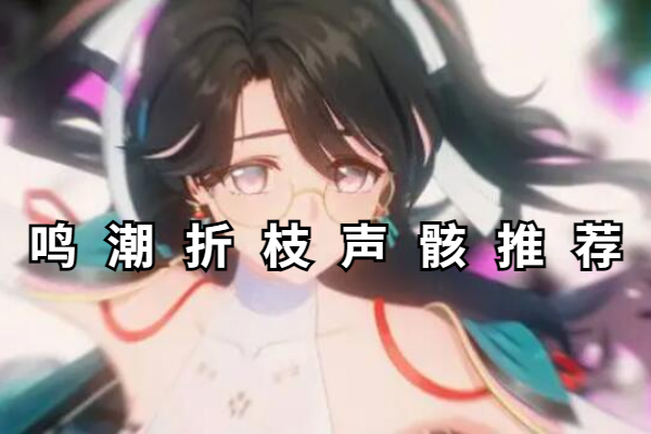 鸣潮折枝声骸推荐