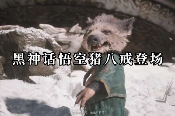 黑神话悟空猪八戒登场