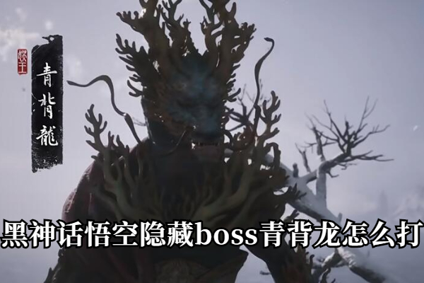 黑神话悟空隐藏boss青背龙怎么打