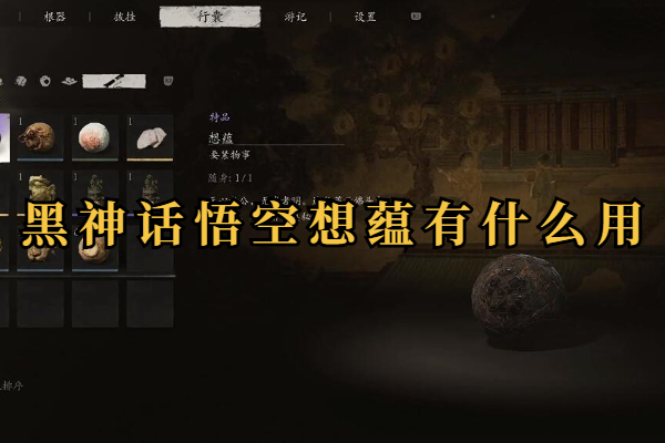 黑神话悟空想蕴有什么用