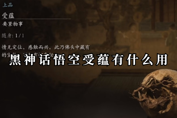 黑神话悟空受蕴有什么用