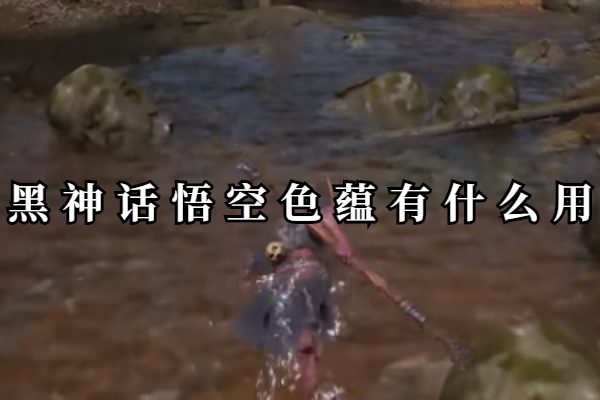 黑神话悟空色蕴有什么用